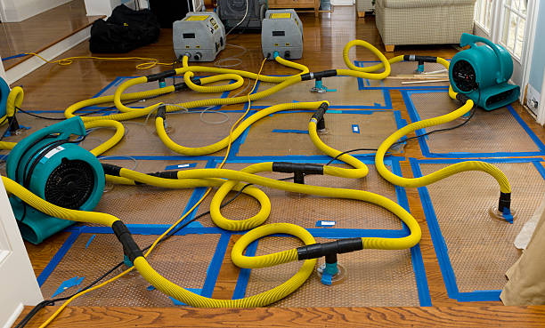 Professional Water Damage Repair technician working in Anderson Island, WA